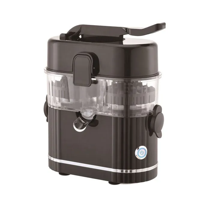 Double Juicer factory
